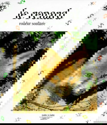 Le Renard : rodeur solitaire