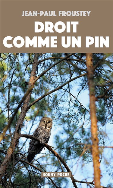 Droit comme un pin