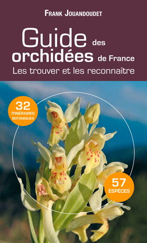 Guide des orchidées communes de France