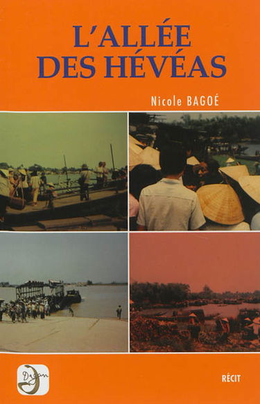 L'allée des hévéas