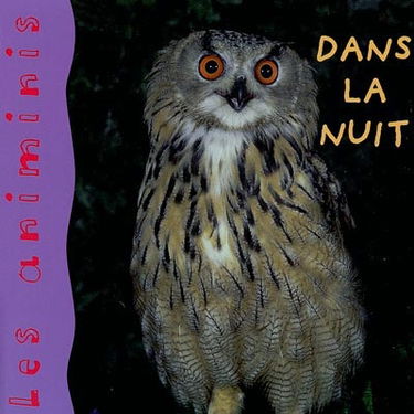 Animaux dans la nuit