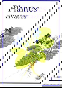 Plantes vivaces
