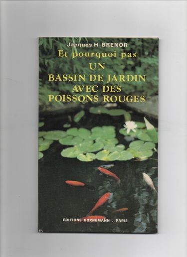 Et pourquoi pas un bassin de jardin avec des poissons rouges ?