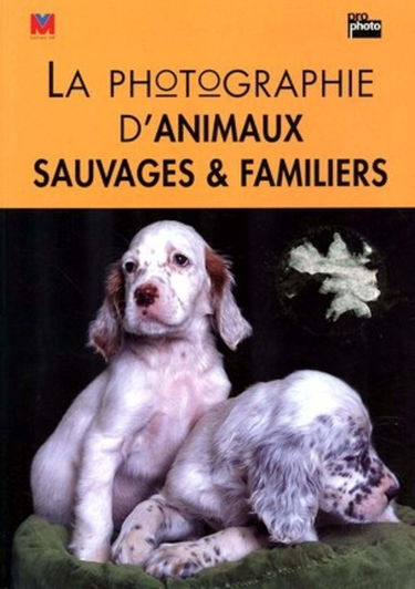 La photographie d'animaux sauvages et familiers