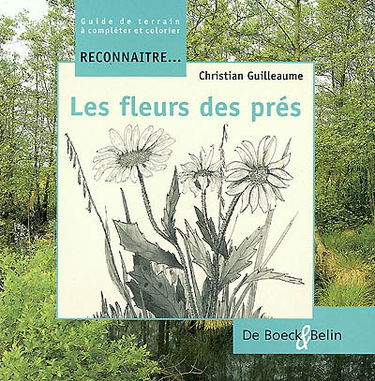 Les fleurs des prés : guide de terrain à compléter et colorier