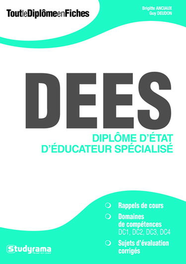 DEES : diplôme d'Etat d'éducateur spécialisé