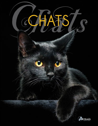 Chats