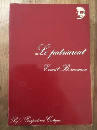 Le Patriarcat (Perspectives critiques)