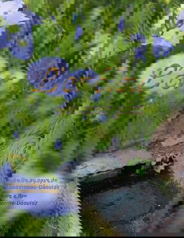 L'or bleu: Le lin au pays de Landerneau-Daoulas