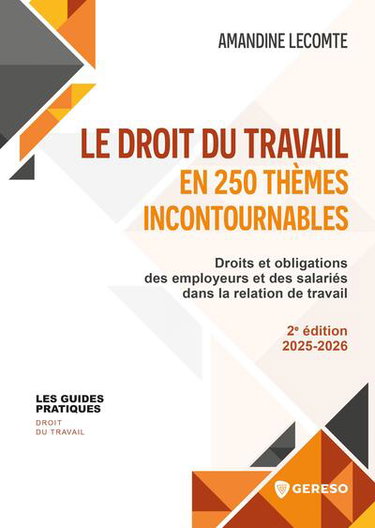 Le droit du travail en 250 thèmes incontournables : droits et obligations des employeurs et des salariés dans la relation de travail