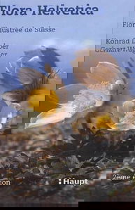 Flora Helvetica 2 volumes: Flore illustrée de Suisse