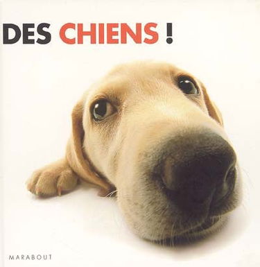 Des chiens !
