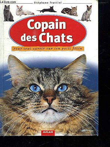 Copain des chats : Pour tout savoir sur ton petit félin