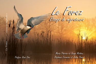 Le Forez: Etangs de migrateurs