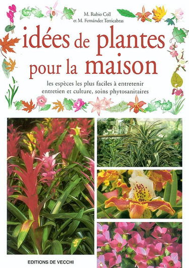 Idées de plantes pour la maison : les espèces les plus faciles à entretenir, entretien et culture, soins phytosanitaires