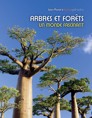 Arbres et forêts, un monde fascinant