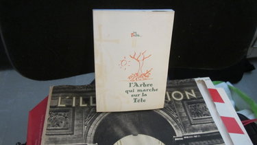 Couverture de L'arbre qui marche sur la tête : Journal, 19 octobre 1994-17 juin 1995 (Des brebis dans les arbres.)