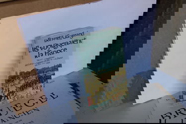 Ils voyageaient la France -Vie et traditions des Compagnons du Tour de France au 19ème siècle