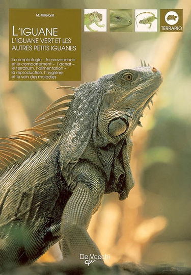 L'iguane