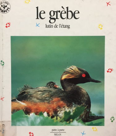 Le Grèbe : lutin de l'étang