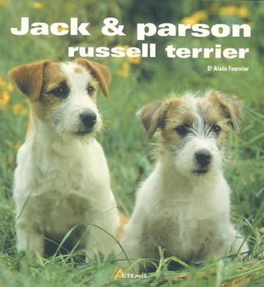 Jack et parson, russell terrier