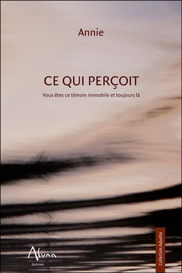 Couverture de Ce qui perçoit : vous êtes ce témoin immobile et toujours là