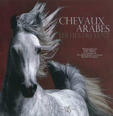 Chevaux arabes : les fils du vent