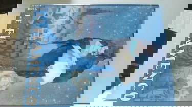 Le flamenco : chant, danse, guitare, percussions