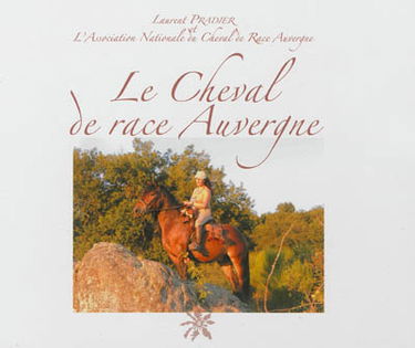 Le cheval de race Auvergne