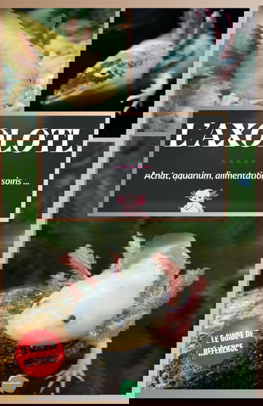 L'axolotl: Guide complet pour débutants sur la salamandre la plus spéciale - Achat, aquarium, soins, alimentation, entretien, maladies, tout ce qu'il faut savoir sur le chien d'eau du Mexique