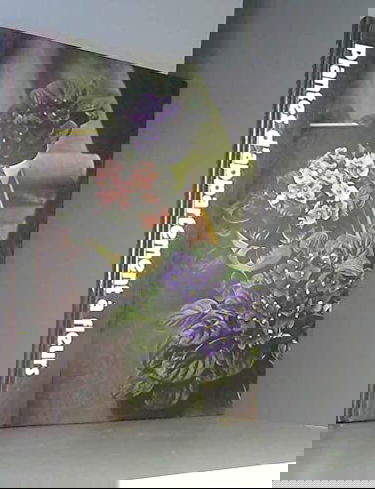 Plantes d'appartement à fleurs