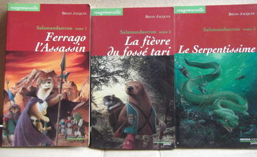 Coffret Rougemuraille. Vol. 3. Mattimeo