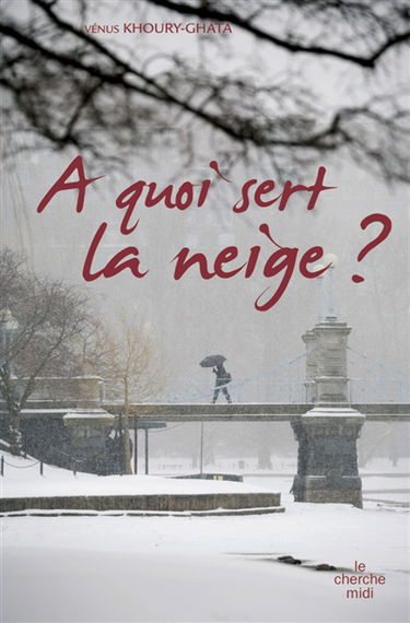 A quoi sert la neige ?