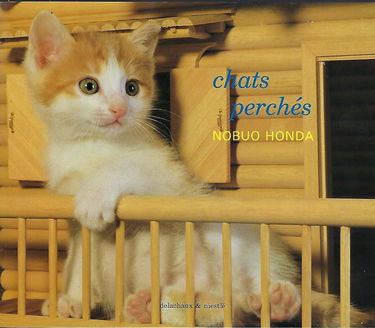 Chats perchés