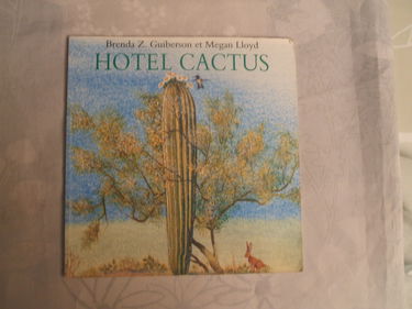 Hotel cactus