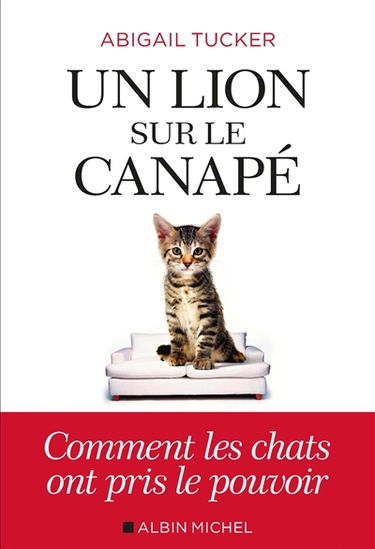 Un lion sur le canapé : comment les chats ont pris le pouvoir