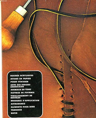 ARTISANAT ET LOISIRS. Les résines acryliques, avions en papier, point tunisien, arts manuels des Indiens d"Amérique, animaux en tissu, elevage de fourmis, vieillissement des meubles, broderie d"application, astronomie, alimentation des bébés, ...