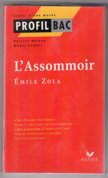 Profil d'une oeuvre : L'assommoir, Zola