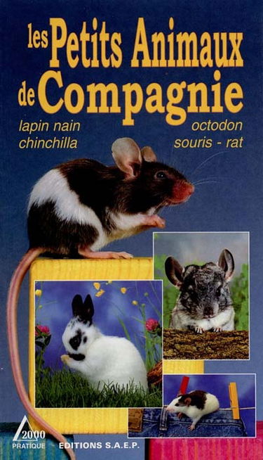 Petits animaux de compagnie : lapin nain, rat, souris, chinchilla, octodon