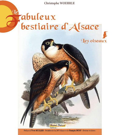 Le fabuleux bestiaire d'Alsace, les oiseaux