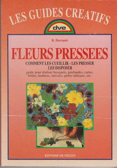 Fleurs pressées : comment les cueillir, les presser, les disposer