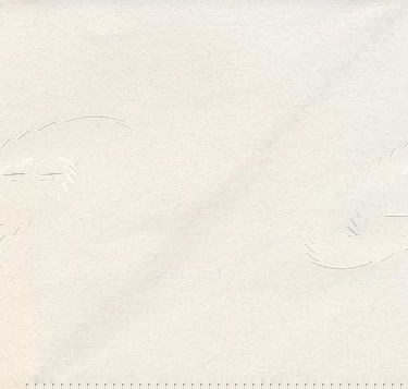 Donjon de Gouzon, Chauvigny