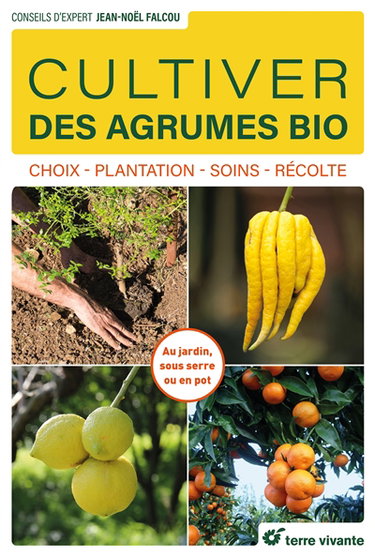 Couverture de Cultiver des agrumes bio : choix, plantation, soins, récolte : au jardin, sous serre ou en pot