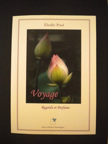 Couverture de Voyage