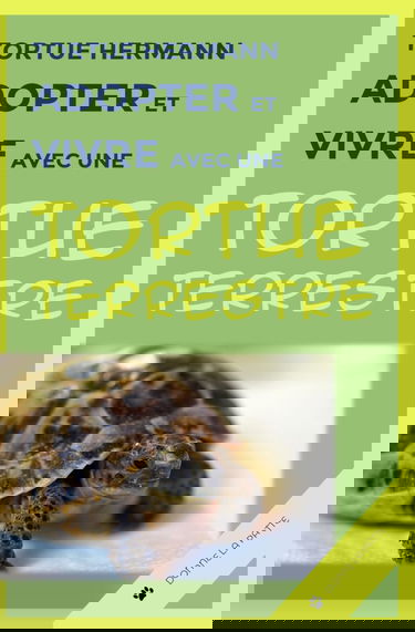 Tortue Hermann : adopter et vivre avec une tortue terrestre