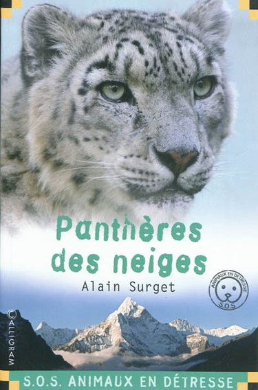 Panthère des neiges