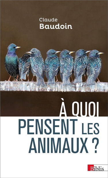 A quoi pensent les animaux ? : comportements, cognition, émotions