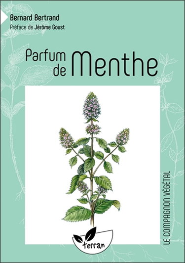 Parfum de menthe