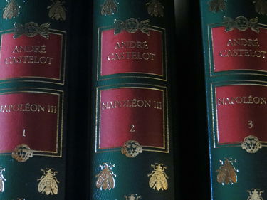 Napoléon III, l'aube des temps modernes