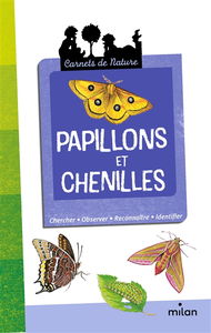 Papillons et chenilles : chercher, observer, reconnaître, identifier